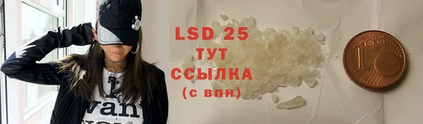 шишки Белоозёрский
