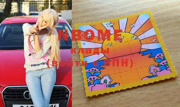 шишки Белоозёрский