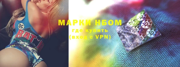 шишки Белоозёрский