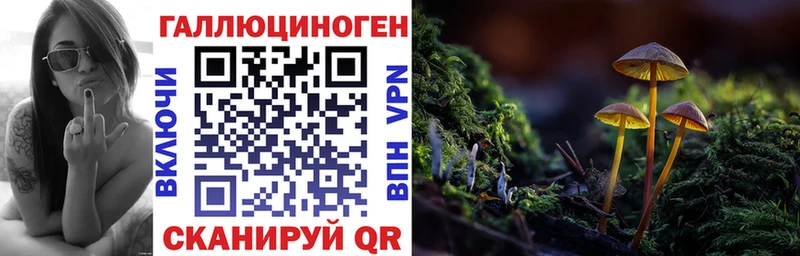 Галлюциногенные грибы Psilocybine cubensis  мега маркетплейс  Белоозёрский 